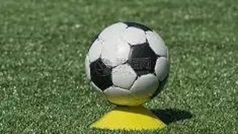 爽妈揭秘郑爽疗愈之道，税务风波后家族名言引人深思